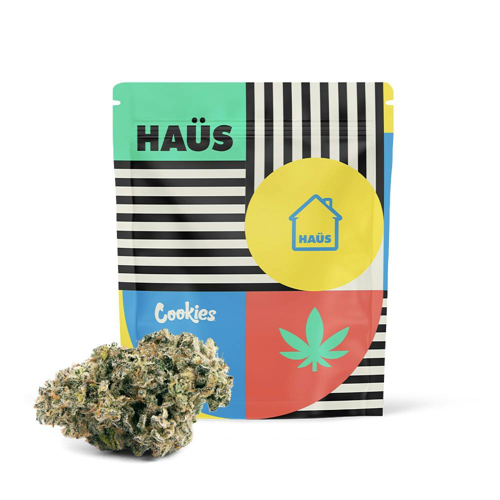 パスパスの実 what we want × pastime factory パスパスの実 what we want × pastime factory パスパスの実 what we