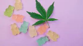 Edibles category image