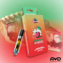 Amnesia - 1g Cart - Cherry Pie