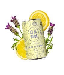 Cann |  Lemon Lavender | Social Tonic 2mg 6pk
