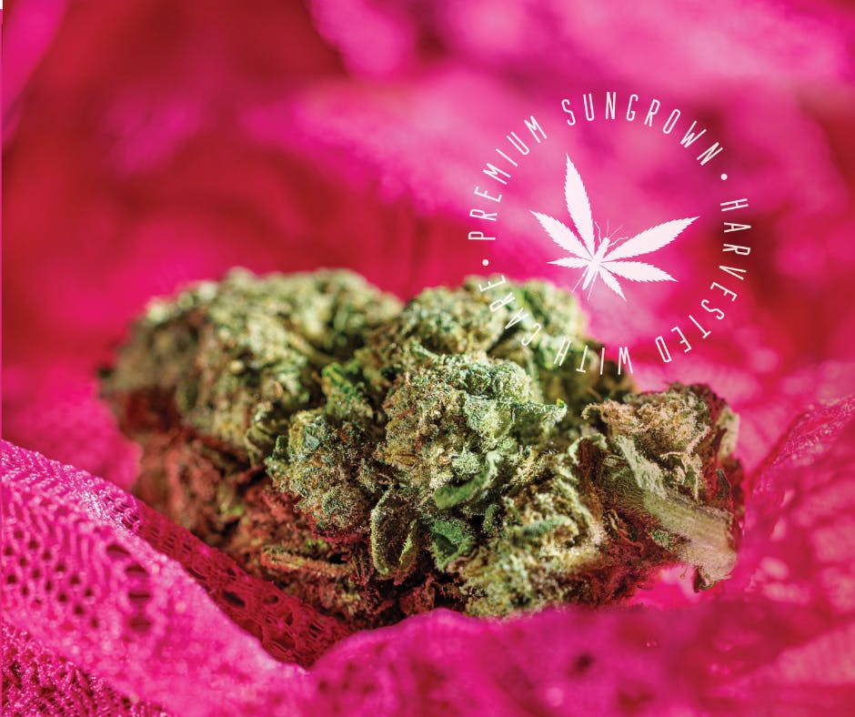 Product: Grasshopper Farms | Jealousy | Hybrid | Bulk Flower | Bronze