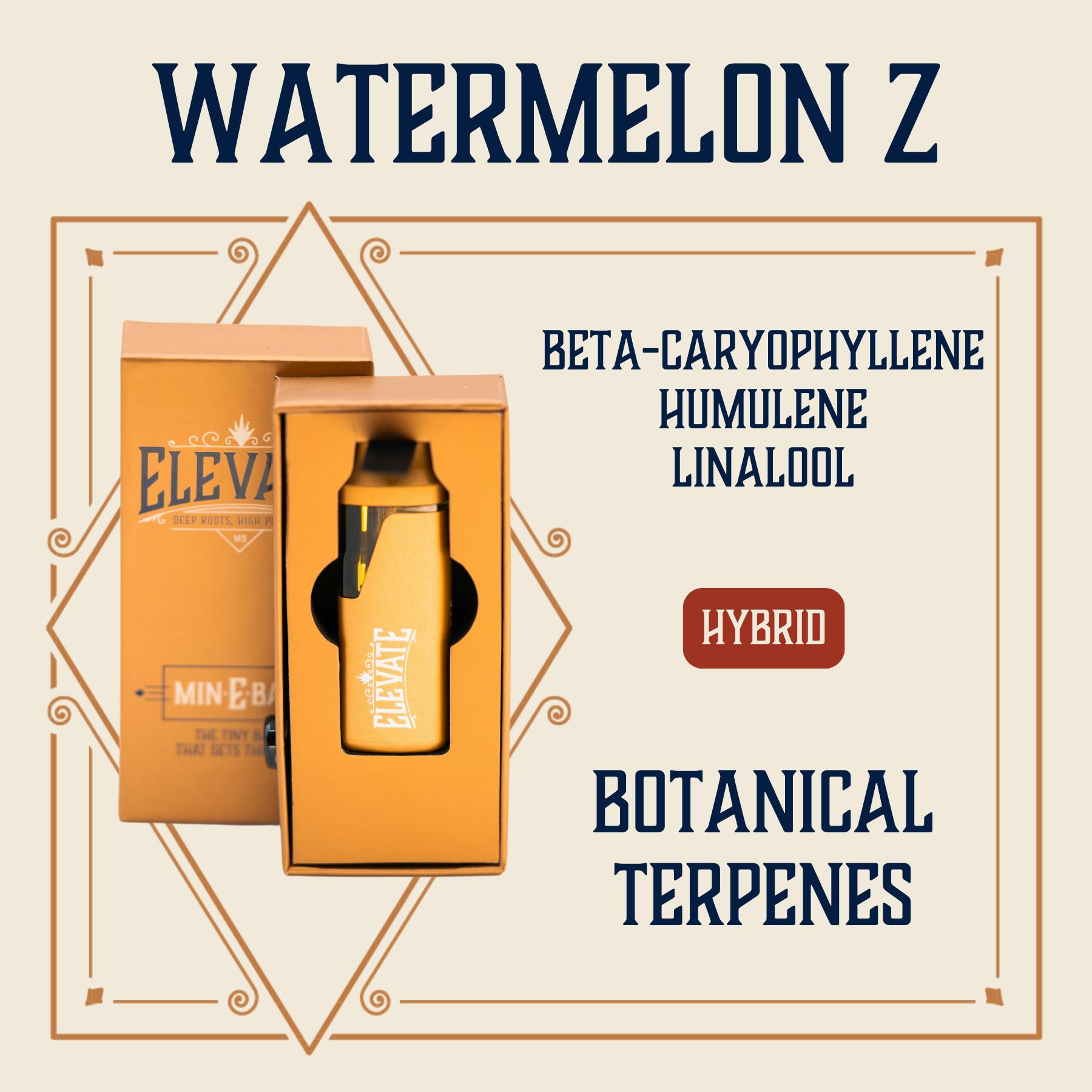 flavor beast vape usa About Us  Flavour Beast