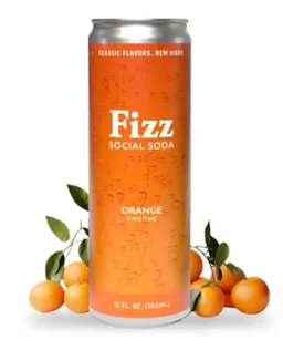 Fizz Orange Soda