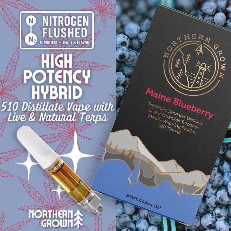 Potency - Pittsfield