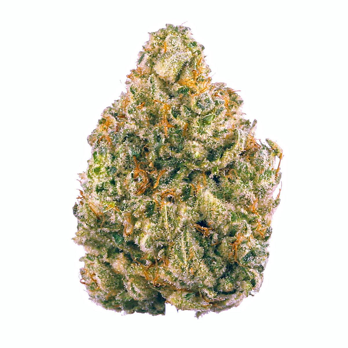 Image of NF1 | 28g Flower