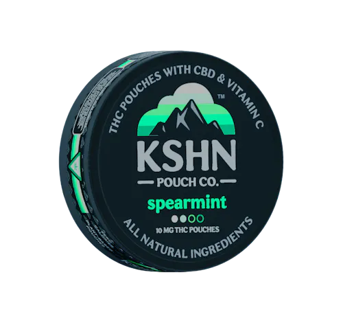 KSHN Pouch Co. | Spearmint 200mg THC Pouch (20-pack)-active