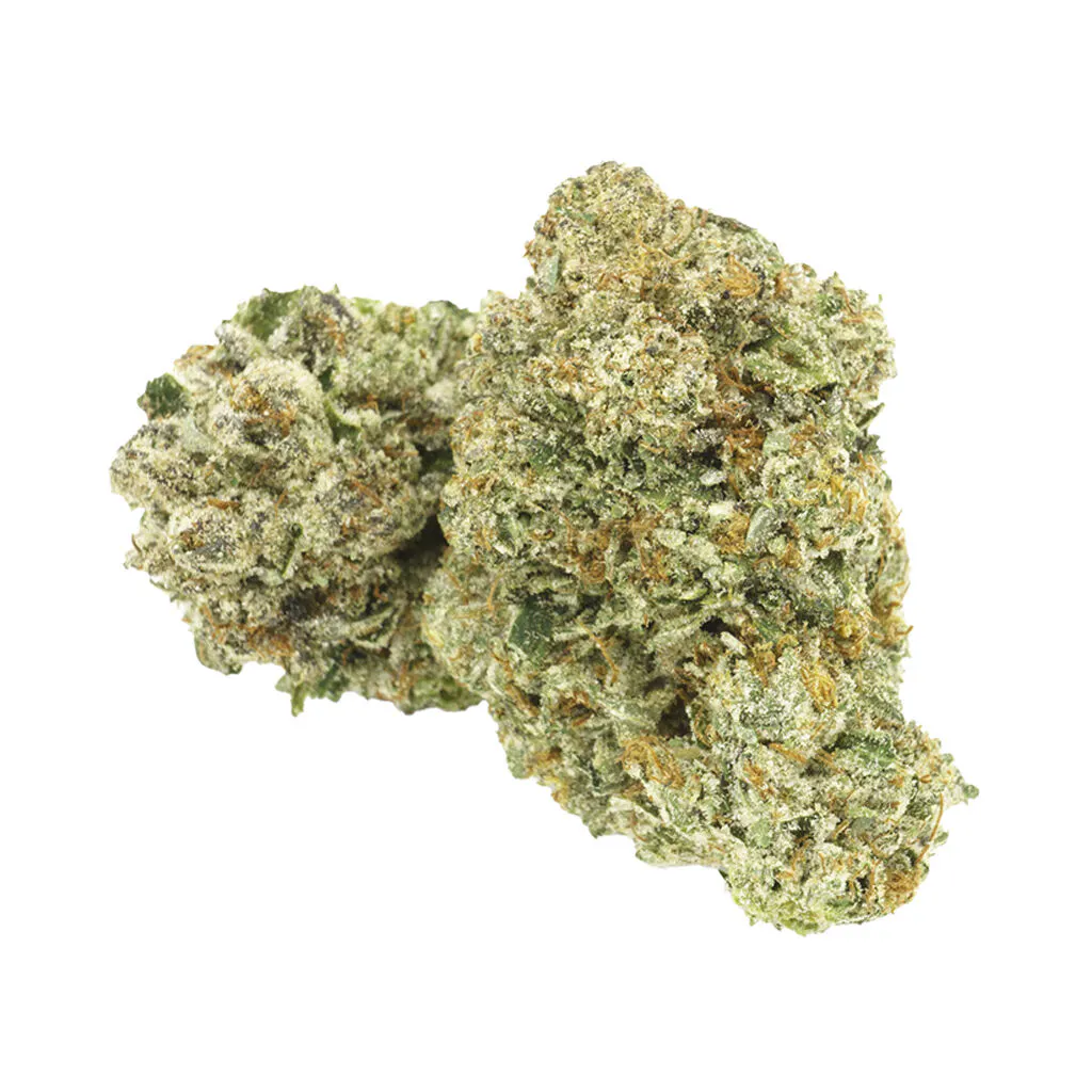 Bluebird Cannabis - Terry Fox