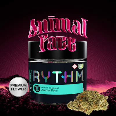 Weed Dispensary Cleveland OH | Dispensary Near You | Story Cannabis