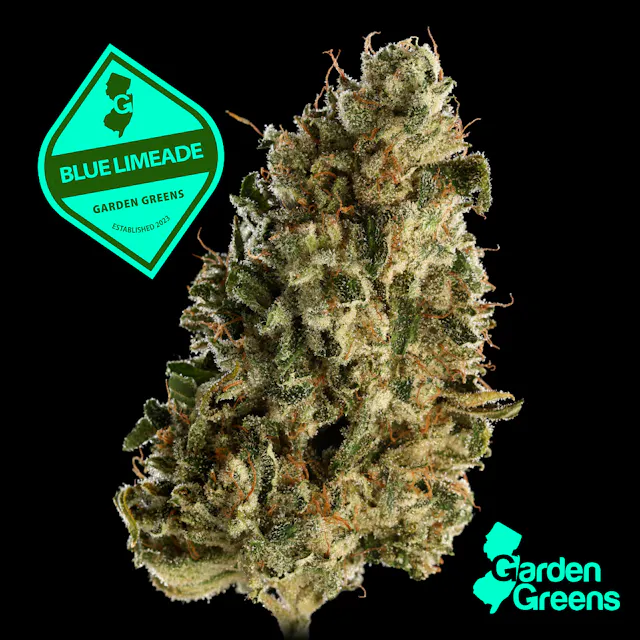Garden Greens Big Buds Blue Limeade 7g (hybrid, flower)