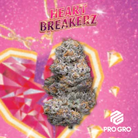 Heart Breakerz 1g Pre-Roll - product image at King of Budz
