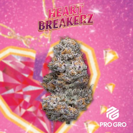 Heart Breakerz 1g Pre-Roll - product image at King of Budz