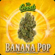 GOODS BANANA POP