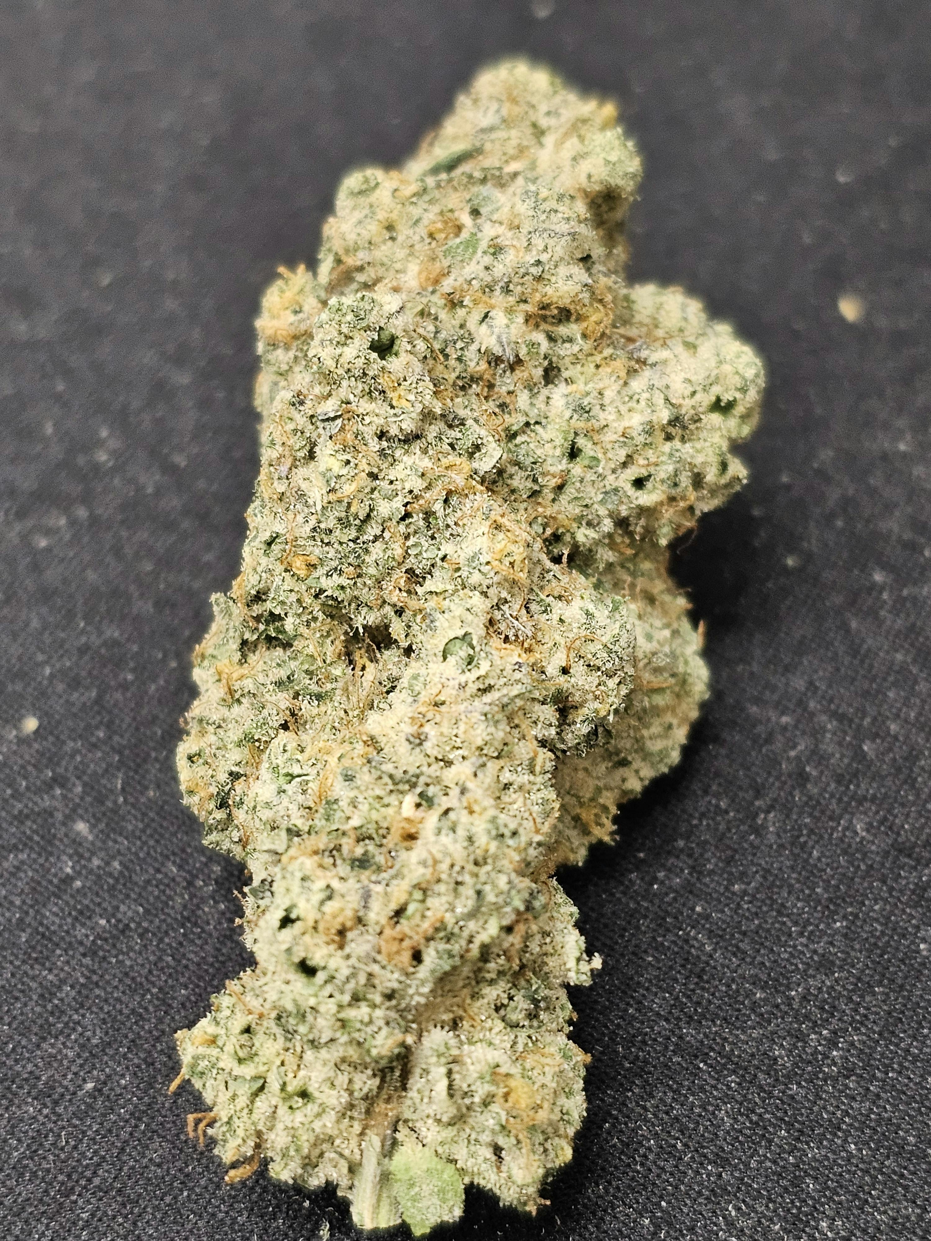 Product: Bananza | Dr. JC's Exotics