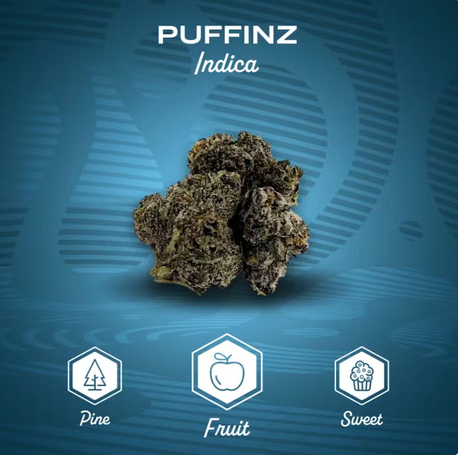 Product Puffinz