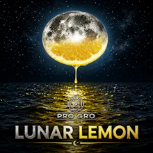 DELI - Pro Gro - Lunar Lemon - FLOWER by Pro Gro at King of Budz