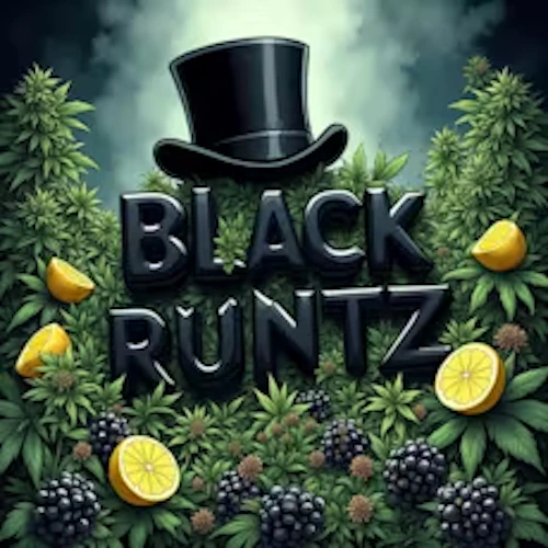 DELI - Black Runtz