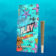 PLAY - 1.2g Infused Preroll - Gusherz