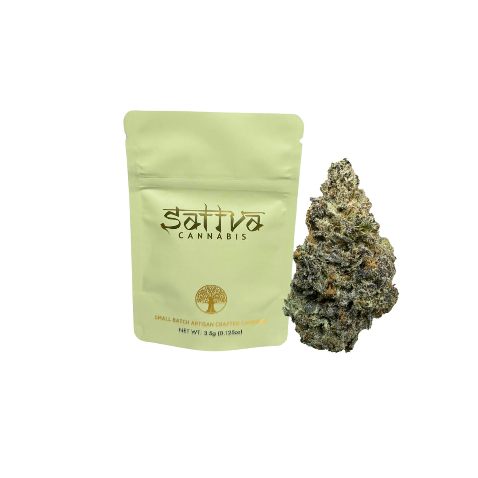 GELATO FRITTER