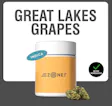 Prepack Pre-Ground Great Lake Grapes