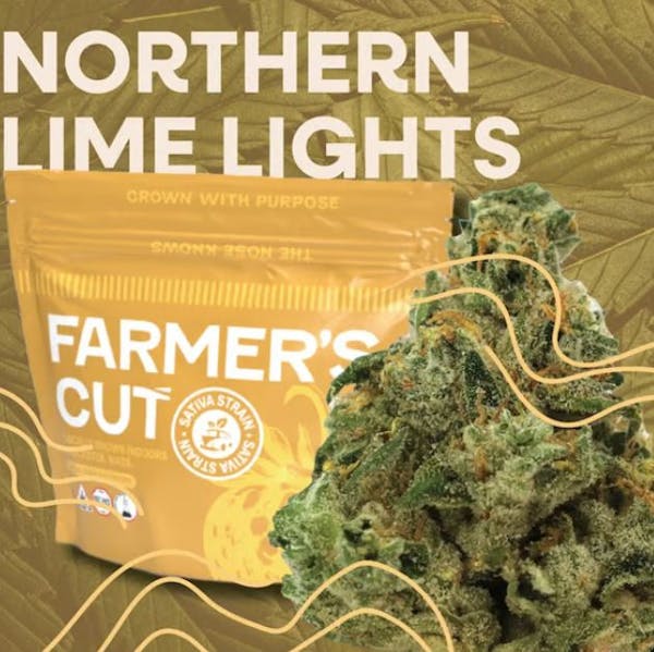 Banana God Z | Premium Flower | 3.5g in Boston - Banana God Z