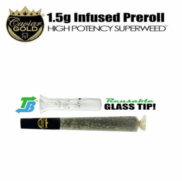 Caviar Gold Caviar Gold | Blue Glue | 1.5g Infused Glass Tip Preroll