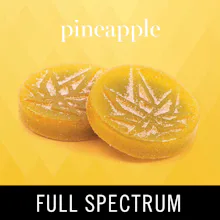 Levitate - 100mg Full Spectrum Gummies - Pineapple