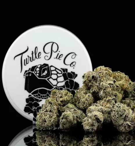 Turtle Pie | Flower | Tahiti Midnight | 3.5g-active