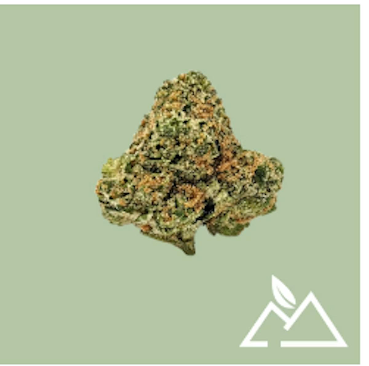 Photo of Berkshire Roots | OGKB 2.0 | Flower I