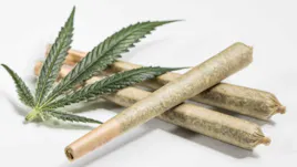 Pre-Rolls category image