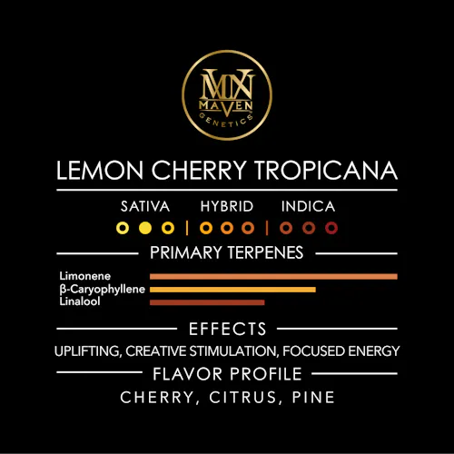 Lemon Cherry Tropicana [3.5g]-9