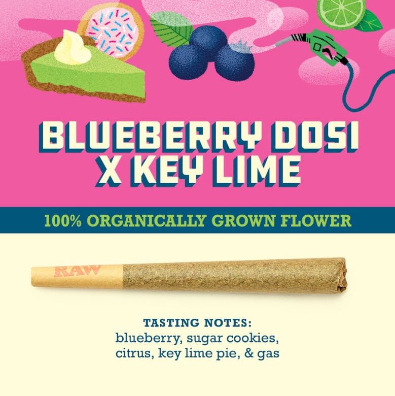 Product: Blueberry Dosi X Key Lime
