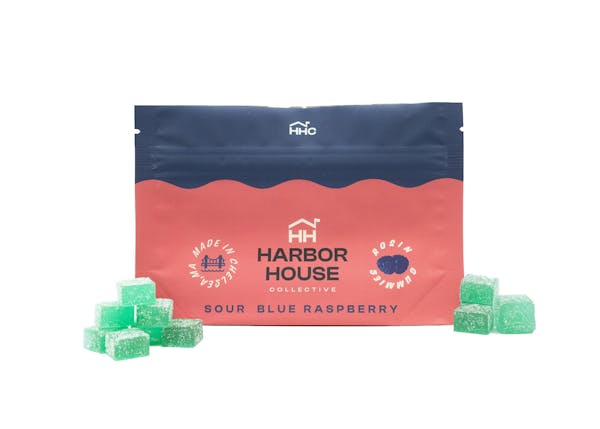 Sour Blue Raspberry (S) - 20pk | 100mg Rosin Gummies - Harbor House Collective