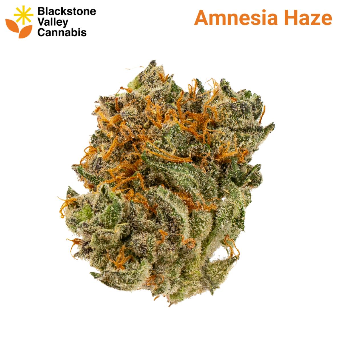 Product Amnesia Haze - Flower