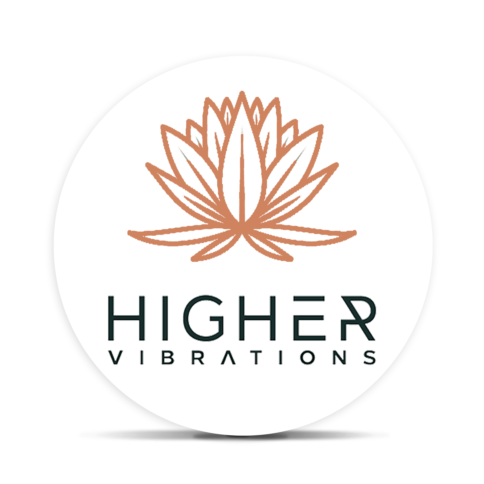 Higher Vibrations logo