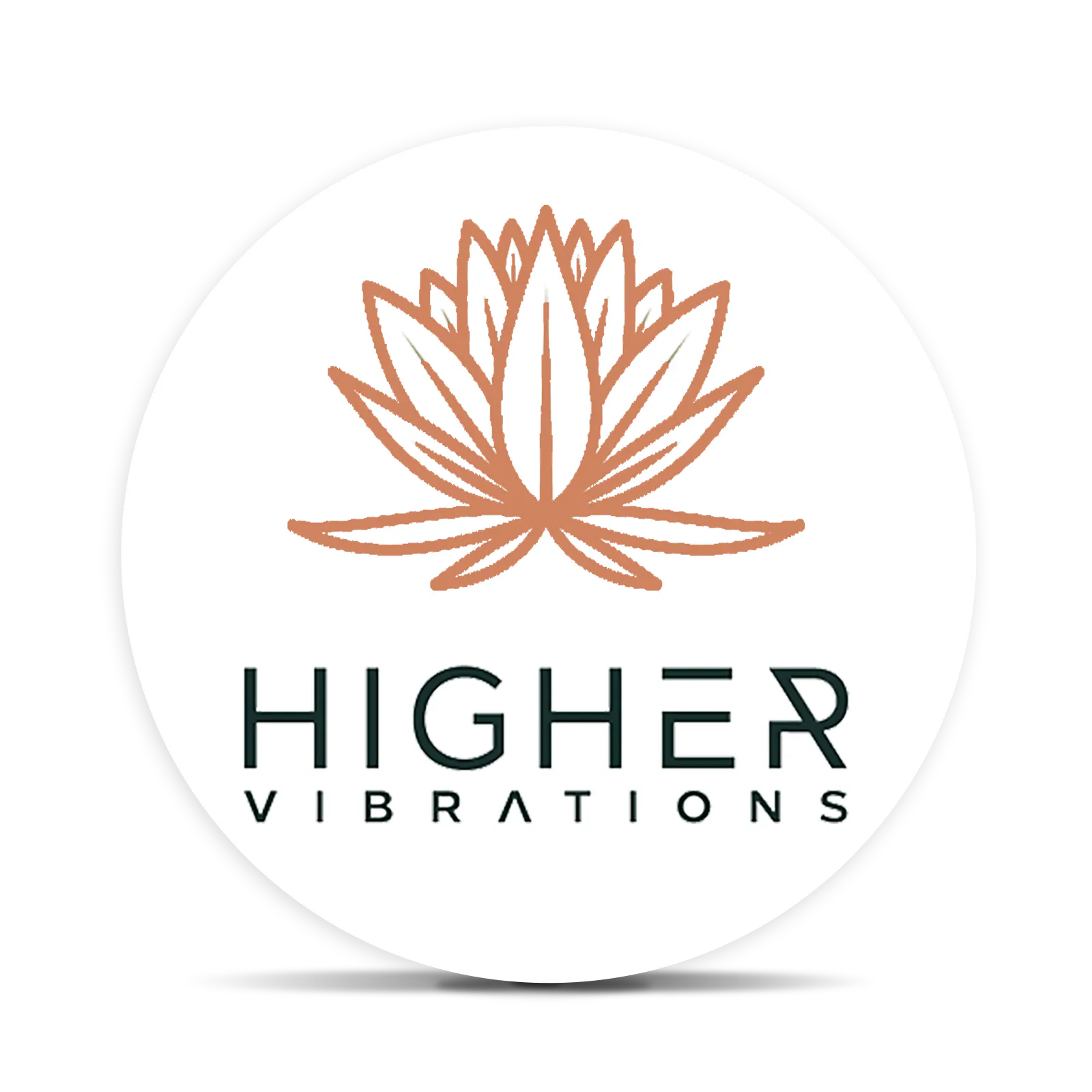 Higher Vibrations logo