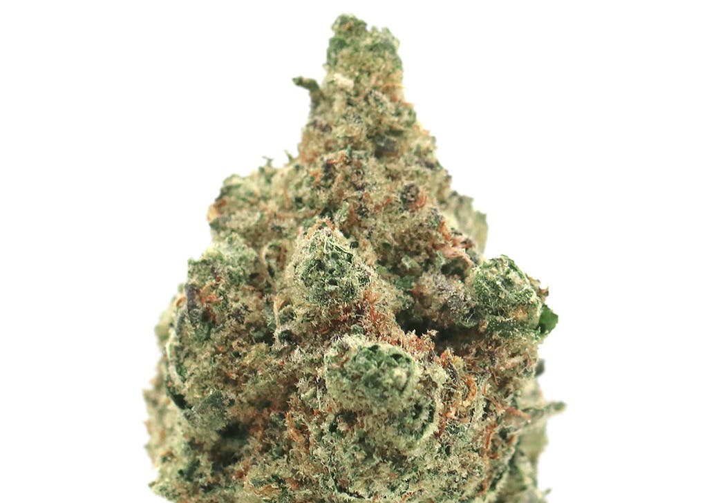 Photo of Garlicane | Flower | 14g