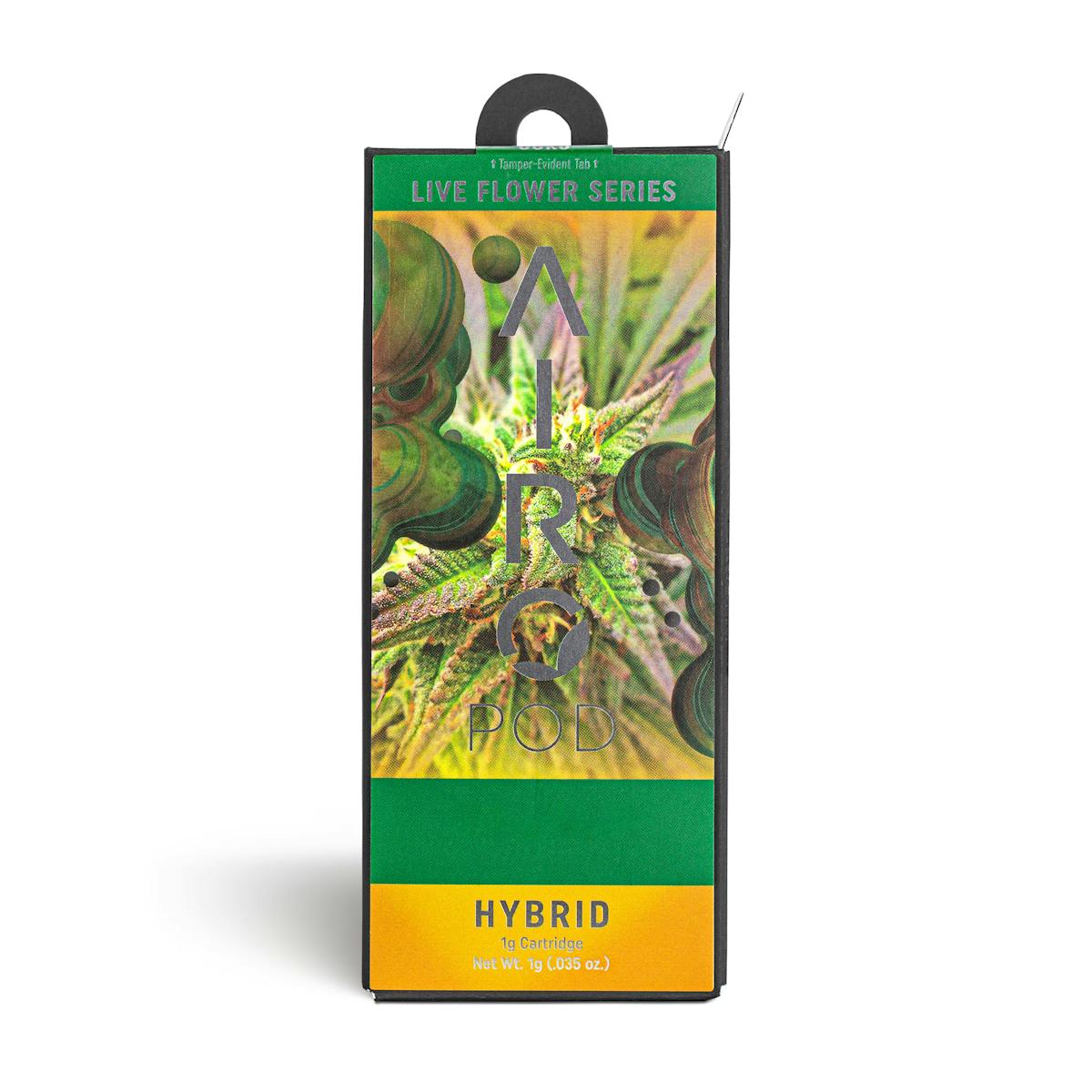Photo of Orange Sherbet Live Flower Pod