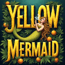 DELI - Yellow Mermaid - FLOWER by TruSmoke Cannabis at King of Budz