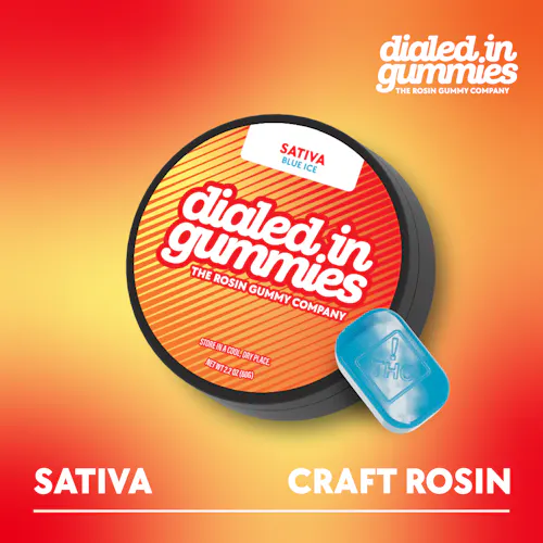 100mg – Blue Ice – Rosin Gummies (10pk)-active