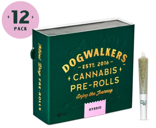 Product: Runtz [0.35g x 12]