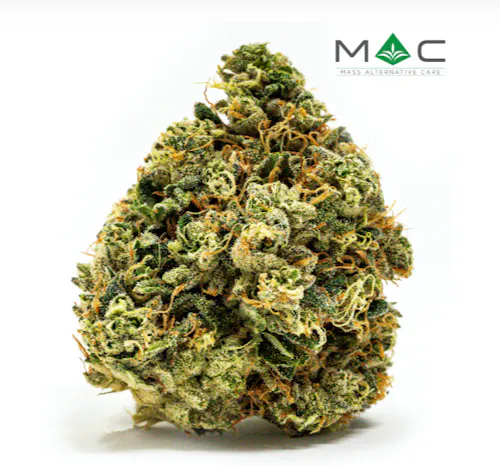 Flower – Juniper Jive-active