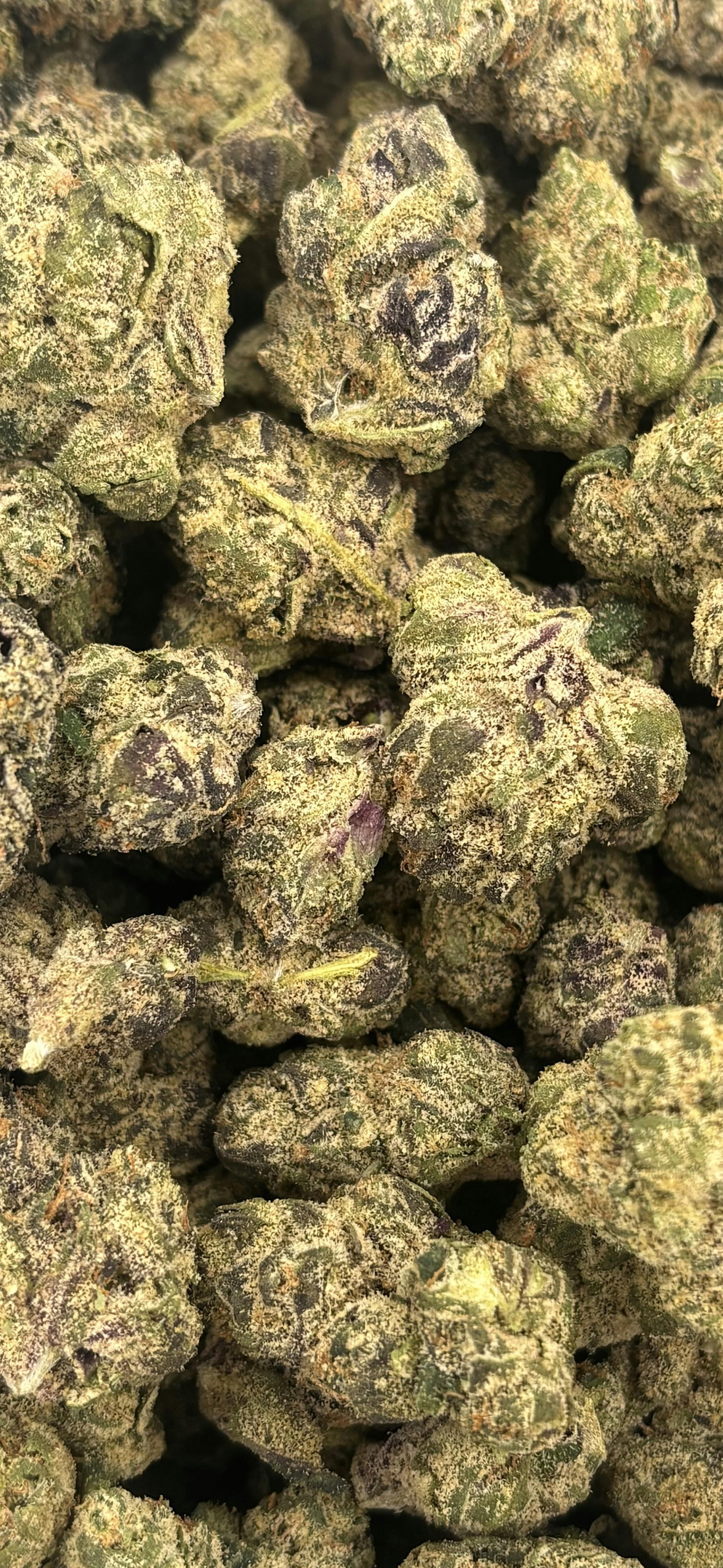 Seed Junky | Motor City Runtz | Deli Flower