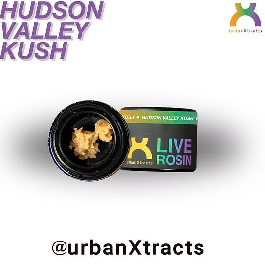 Hudson Valley Kush | Live Rosin Cold Cure | 1g
