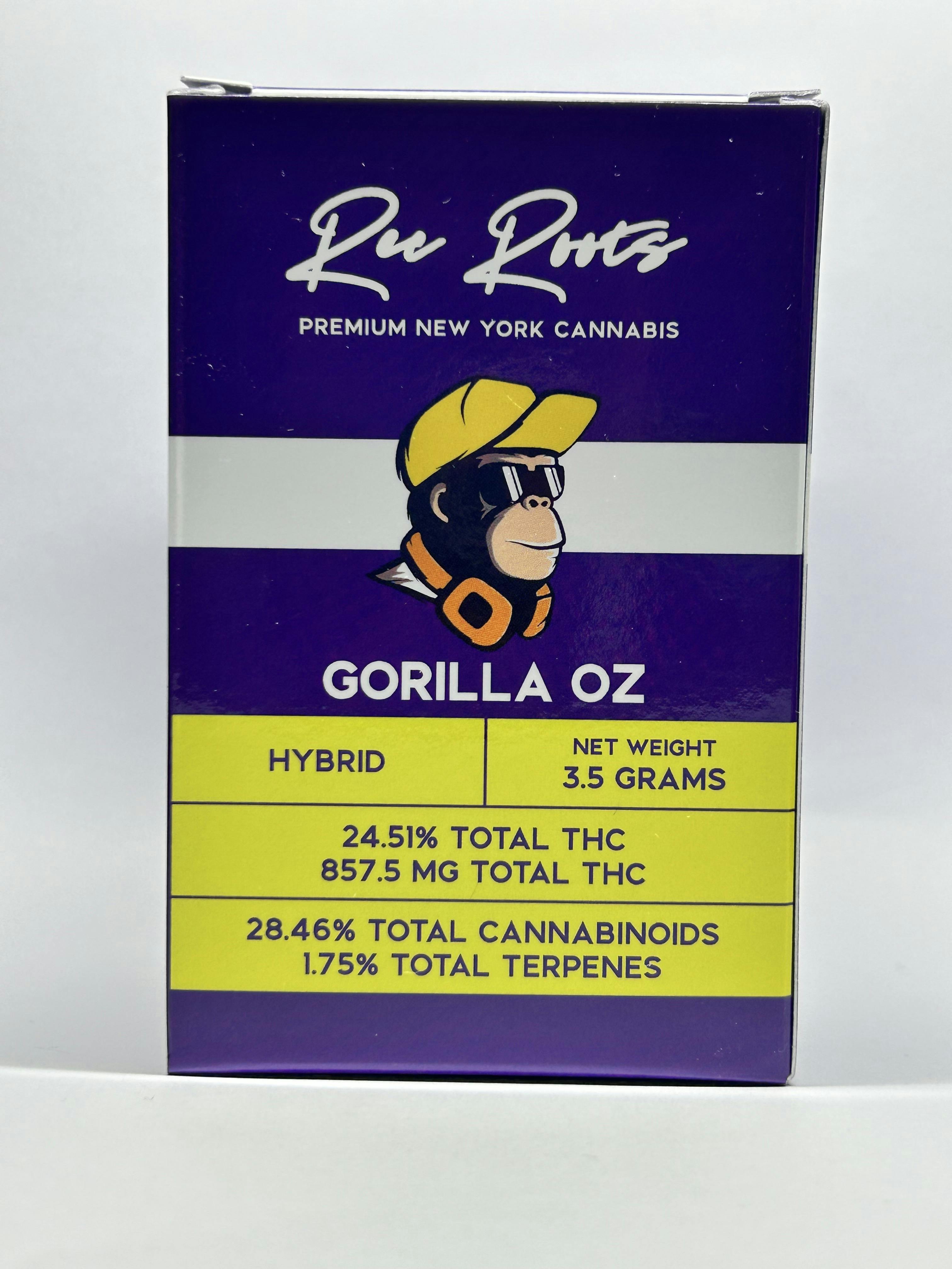 Photo of Rec Roots – Gorilla Oz