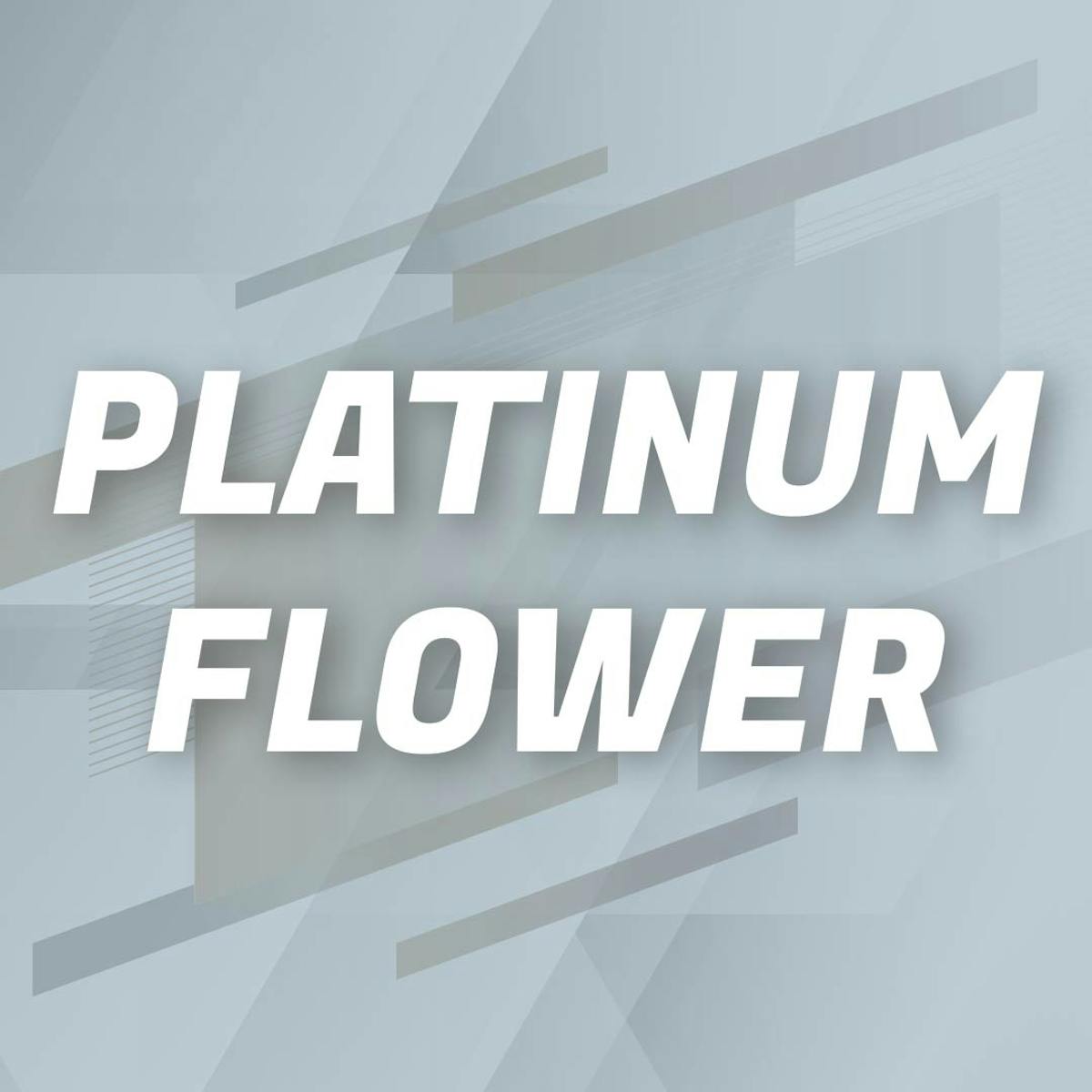 Photo of Platinum Shelf – Sherb Breath (I)