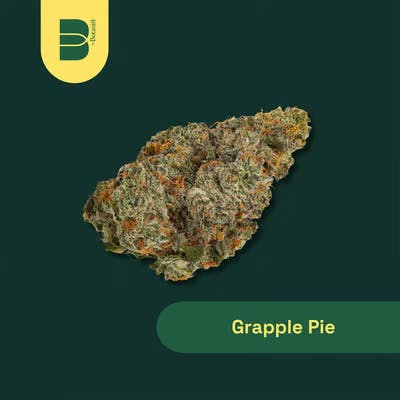 Grapple Pie (H) - 0.5g (2 Pack) - Pre-Roll - The Botanist