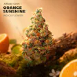 Orange Sunshine