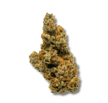 Cultivators Classic | Meyer Hashkey | Flower
