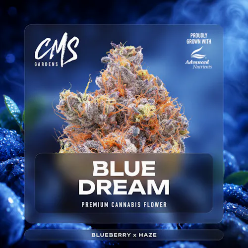 CMS Gardens – Blue Dream Bud Bar-active