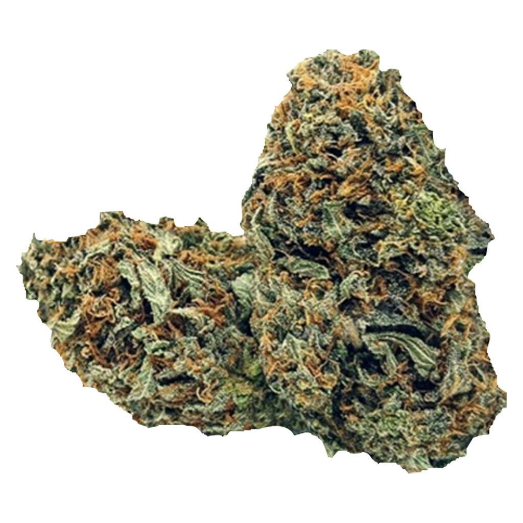 Flower | RotoGrown - Twins Super Nova - TSN - Sativa